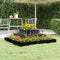 vidaXL - Plantenbak - 80x80x27 - cm - massief - grenenhout - zwart