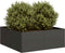vidaXL - Plantenbak - 80x80x30 - cm - staal - zwart