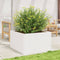 vidaXL - Plantenbak - 80x80x45,5 - cm - massief - grenenhout - wit