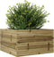 vidaXL - Plantenbak - 80x80x46 - cm - geïmpregneerd - grenenhout