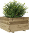 vidaXL - Plantenbak - 80x80x49,5 - cm - geïmpregneerd - grenenhout