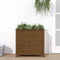vidaXL - Plantenbak - 82,5x40x78 - cm - massief - grenenhout - honingbruin