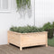 vidaXL - Plantenbak - 82,5x82,5x39 - cm - massief - grenenhout