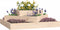 vidaXL - Plantenbak - 83x83x27 - cm - massief - grenenhout