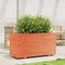 vidaXL - Plantenbak - 90x40x49,5 - cm - massief - grenenhout - wasbruin