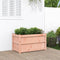vidaXL - Plantenbak - 90x50x50 - cm - massief - douglashout