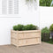 vidaXL - Plantenbak - 90x50x50 - cm - massief - grenenhout
