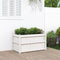 vidaXL - Plantenbak - 90x50x50 - cm - massief - grenenhout - wit