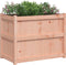 vidaXL - Plantenbak - 90x50x70 - cm - massief - douglashout