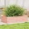 vidaXL - Plantenbak - 90x60x23 - cm - massief - douglashout