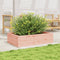 vidaXL - Plantenbak - 90x60x23 - cm - massief - douglashout