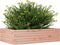 vidaXL - Plantenbak - 90x60x23 - cm - massief - douglashout