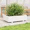 vidaXL - Plantenbak - 90x60x26,5 - cm - massief - grenenhout - wit