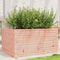 vidaXL - Plantenbak - 90x60x45,5 - cm - massief - douglashout