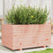 vidaXL - Plantenbak - 90x60x49,5 - cm - massief - douglashout