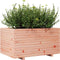 vidaXL - Plantenbak - 90x60x49,5 - cm - massief - douglashout