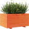 vidaXL - Plantenbak - 90x60x49,5 - cm - massief - grenenhout - wasbruin