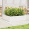 vidaXL - Plantenbak - 90x90x23 - cm - massief - grenenhout - wit