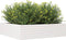 vidaXL - Plantenbak - 90x90x23 - cm - massief - grenenhout - wit