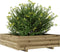 vidaXL - Plantenbak - 90x90x26,5 - cm - geïmpregneerd - grenenhout