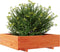 vidaXL - Plantenbak - 90x90x26,5 - cm - massief - grenenhout - wasbruin