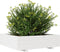 vidaXL - Plantenbak - 90x90x26,5 - cm - massief - grenenhout - wit