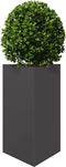 vidaXL - Plantenbak - driehoek - 50x43x75 - cm - staal - zwart