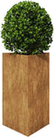 vidaXL - Plantenbak - driehoekig - 50x43x75 - cm - weervast - staal