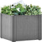 vidaXL - Plantenbak - hoog - met - zelfbewateringssysteem - 43x43x33 - cm - grijs