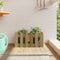 vidaXL - Plantenbak - met - hekontwerp - 60x30x30 - cm - geïmpregneerd - grenenhout