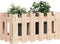 vidaXL - Plantenbak - met - hekontwerp - 60x30x30 - cm - massief - grenenhout
