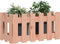 vidaXL - Plantenbak - met - hekontwerp - 60x30x30 - cm - massief - dougashout