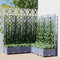 vidaXL - Plantenbak - met - latwerk - 120x120x121,5 - cm - polypropeen - donkergrijs