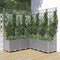vidaXL - Plantenbak - met - latwerk - 120x120x136 - cm - polypropeen - lichtgrijs