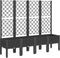 vidaXL - Plantenbak - met - latwerk - 160x40x142 - cm - polypropeen - zwart