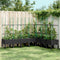 vidaXL - Plantenbak - met - latwerk - 200x160x142,5 - cm - polypropeen - zwart