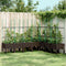 vidaXL - Plantenbak - met - latwerk - 200x160x142,5 - cm - polypropeen - bruin