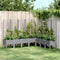 vidaXL - Plantenbak - met - latwerk - 200x160x142 - cm - polypropeen - lichtgrijs