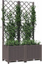 vidaXL - Plantenbak - met - latwerk - 80x40x136 - cm - polypropeen - bruin