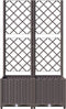 vidaXL - Plantenbak - met - latwerk - 80x40x136 - cm - polypropeen - bruin
