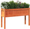 vidaXL - Plantenbak - met - poten - 110x31x70 - cm - grenenhout - wasbruin