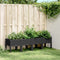 vidaXL - Plantenbak - met - poten - 160x40x42 - cm - polypropeen - zwart