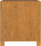vidaXL - Plantenbak - met - poten - roestig - 42x40x43 - cm - cortenstaal