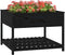 vidaXL - Plantenbak - met - schap - 111,5x111,5x81 - cm - massief - grenenhout - zwart