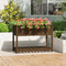 vidaXL - Plantenbak - met - schap - 111,5x54x81 - cm - grenenhout - honingbruin