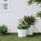 vidaXL - Plantenbak - met - uitneembare - bak - rattan-look - 15/15,3 - L - PP - wit