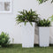 vidaXL - Plantenbak - met - uitneembare - bak - rattan-look - 21/49 - L - PP - wit