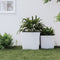 vidaXL - Plantenbak - met - uitneembare - bak - rattan-look - 37/64 - L - PP - wit