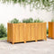 vidaXL - Plantenbak - met - voering - 150x50x75 - cm - massief - acaciahout