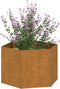vidaXL - Plantenbak - roestig - 60x60x45 - cm - cortenstaal